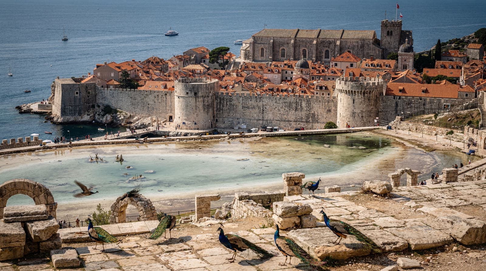 Lokrum island: peacocks, ruins, and a Dead Sea lake