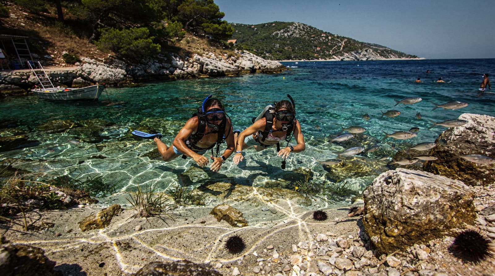 Diving & snorkeling