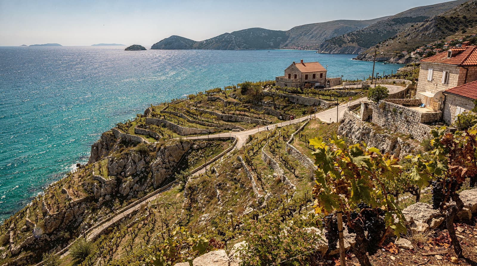 Pelješac wine guide: Dingač, Postup, and the reds of South Dalmatia