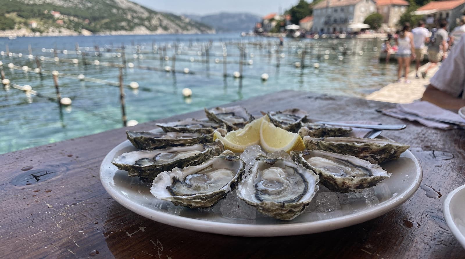 Ston oyster tasting tour: what's included and is it worth it?
